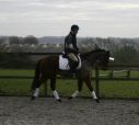 Valiant Arthur (GB)